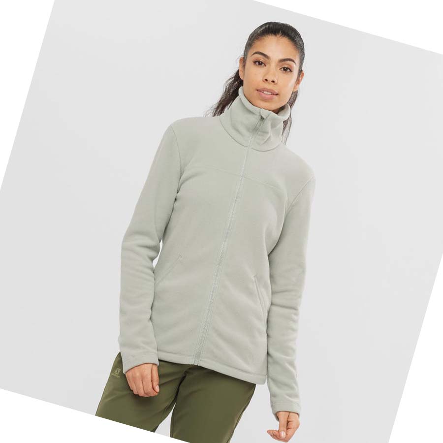 Salomon ESSENTIAL COSY FLEECE Kadın Kapüşonlu Sweatshirt Bej Rengi | TR 2513GSO